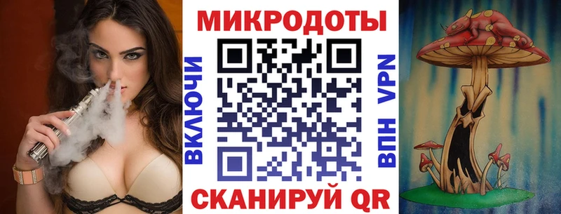 Галлюциногенные грибы Psilocybe  Кудрово 