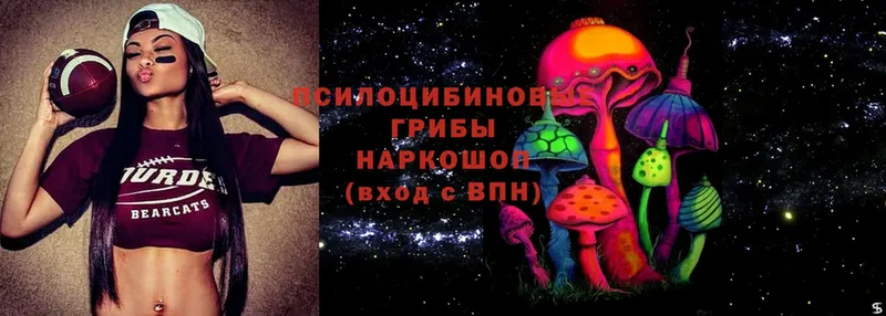 Галлюциногенные грибы Magic Shrooms  продажа наркотиков  Кудрово 