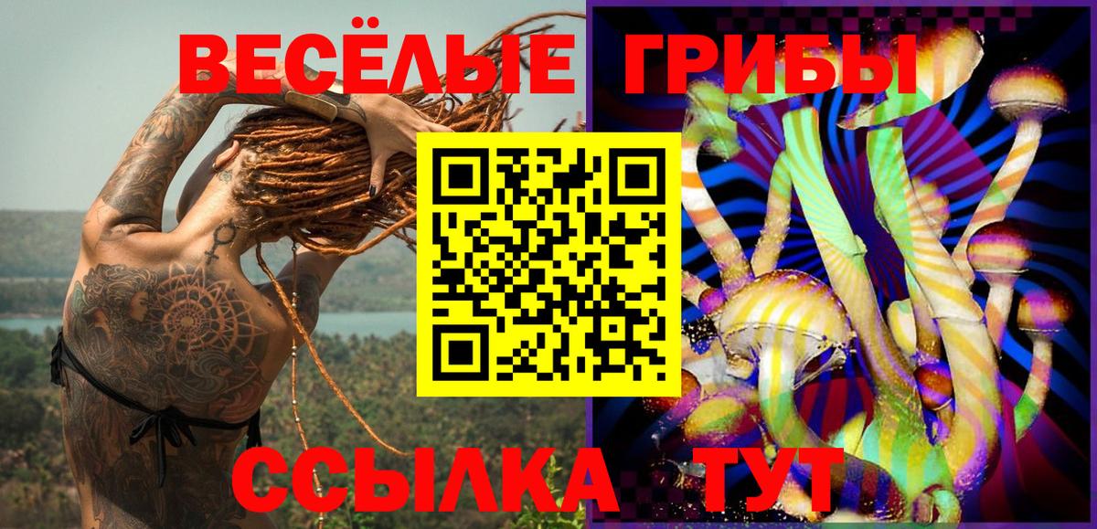 Галлюциногенные грибы ЛСД Кудрово